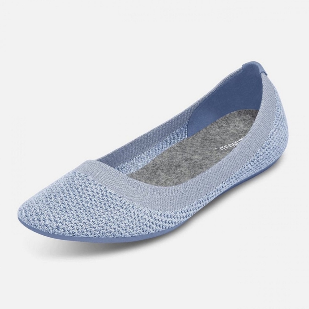 LIKE NEW Allbirds tree breezers flats